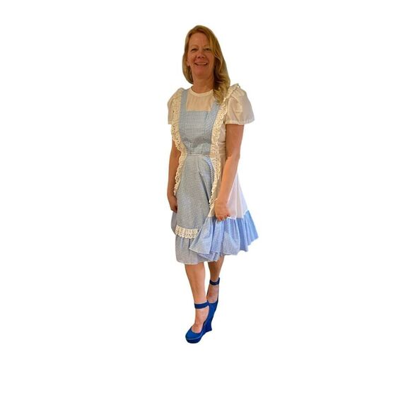 Blue & White Gingham Checked Plaid Cosplay Dress- Dorothy / Alice in Wonderland - Picture 3 of 7